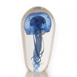 Jellyfish A162 145mm