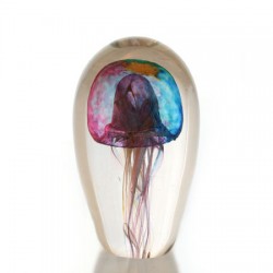 Jellyfish A168JF130mm-600